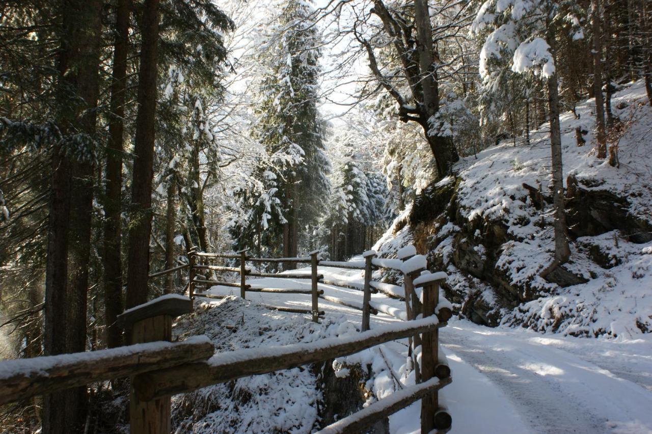 Апартаменты Haus Am Stein Финкенберг Экстерьер фото